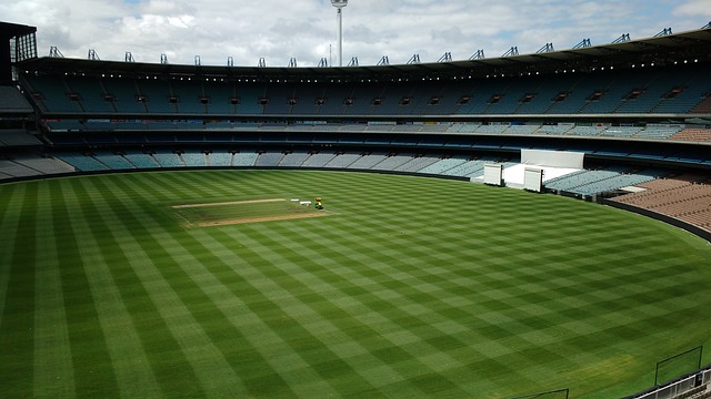 的排球比赛 的排球比赛