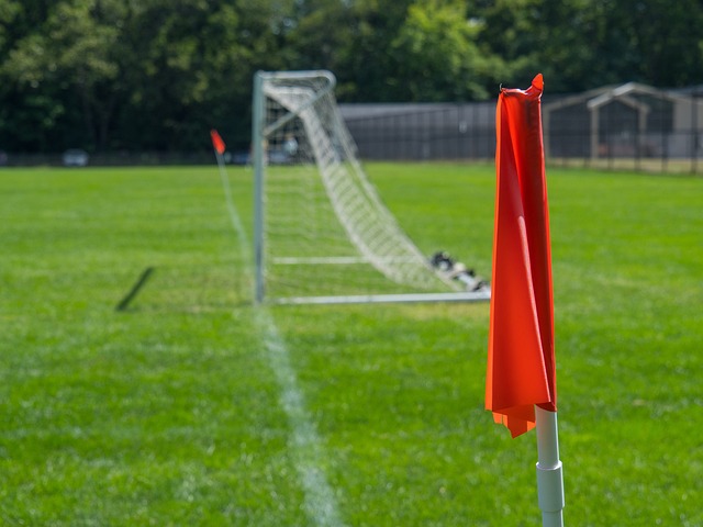 他让我们看 他让我们看