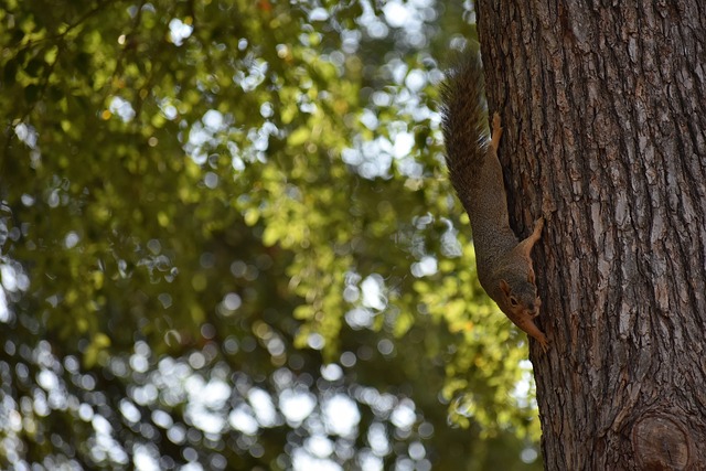 迷和媒體的 迷和媒體的