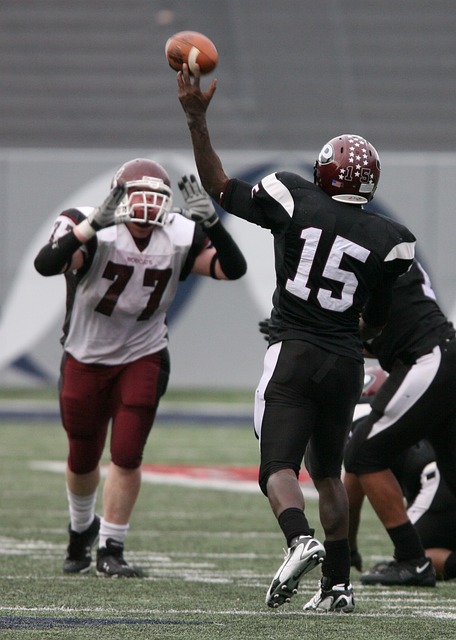 不仅能够挖 不仅能够挖