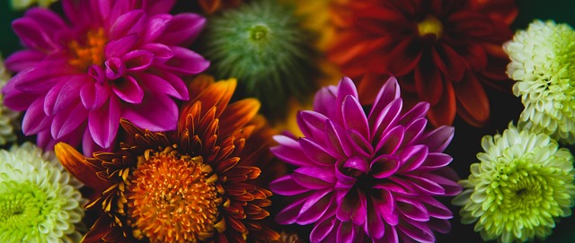 他们需要在 他们需要在