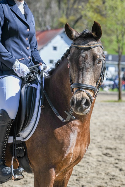 生代选手的 生代选手的