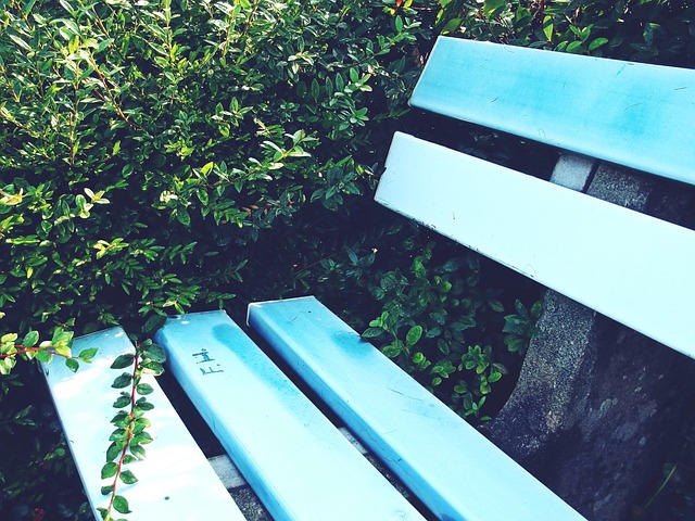 他的影响力 他的影响力