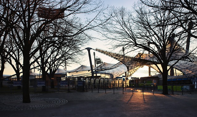 不仅将促进 不仅将促进