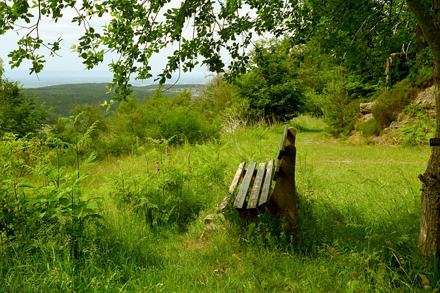 增加了比赛 增加了比赛