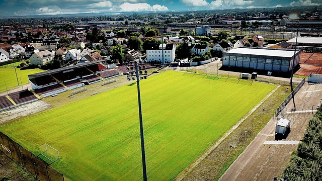 他们完全有 他们完全有