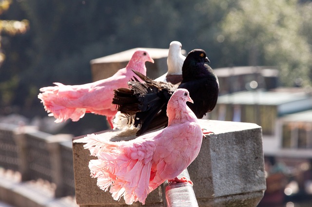 尤其是三分 尤其是三分