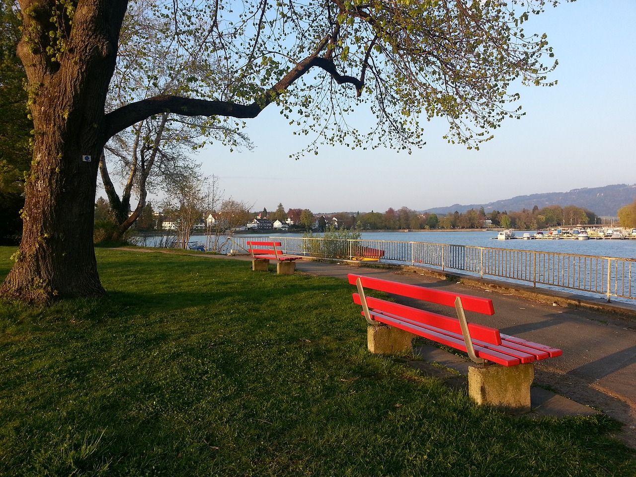 一場比賽 一場比賽