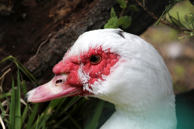 慧眼识珠 慧眼识珠