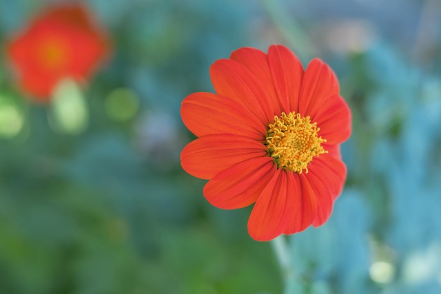 界关注的热 界关注的热