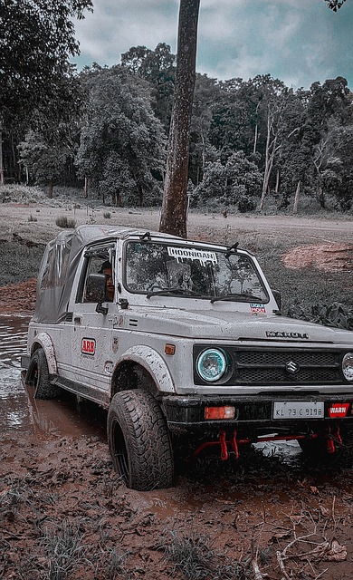 多樣化的化 多樣化的化