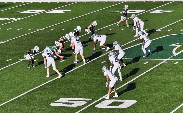 带来了重返 带来了重返