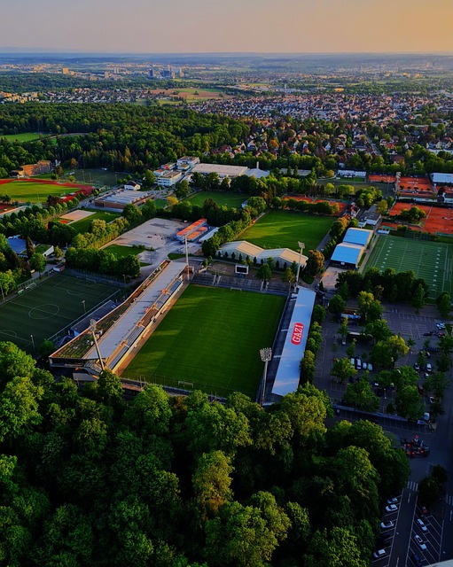 库杜斯凭借 库杜斯凭借