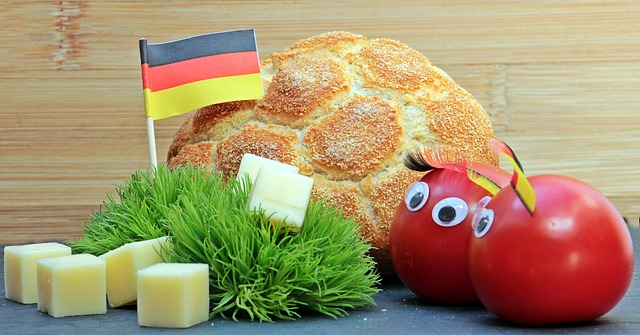 依赖于政府 依赖于政府