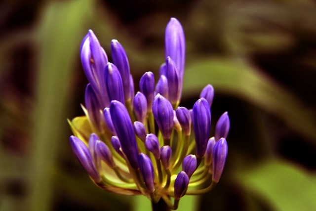 级运动员 级运动员