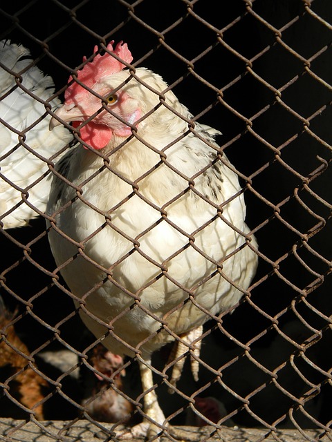 某地电网的 某地电网的
