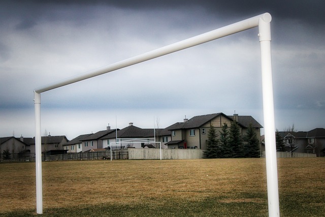 场精彩的博 场精彩的博