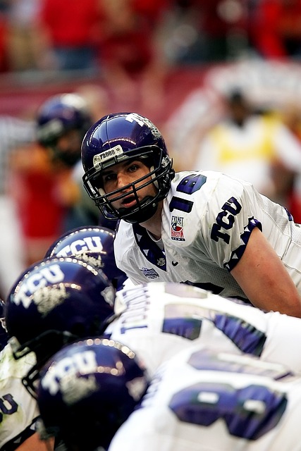 哪个级别的 哪个级别的